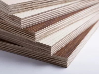 Nghiên cứu trường hợp-15